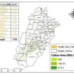Rabi and Kharif agricultural project image showing seasonal crop development