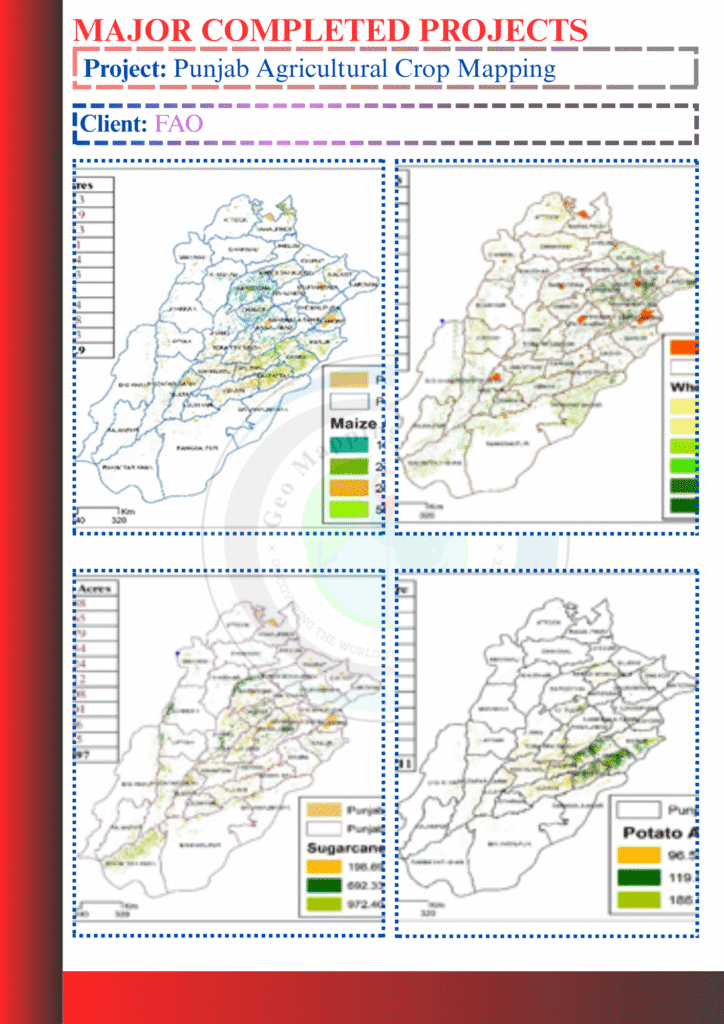 Satellite-based agricultural crop mapping in Punjab for seasonal monitoring and land use analysis